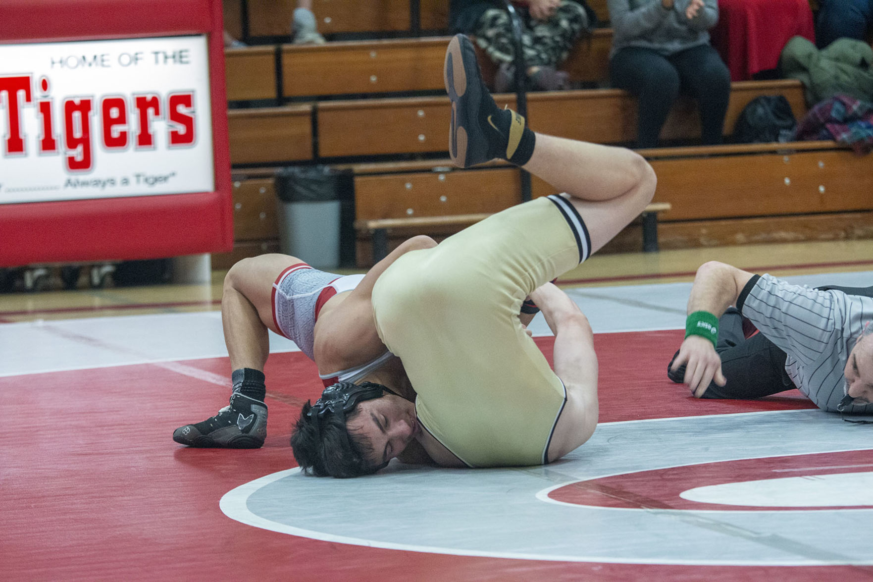Tigers wrestling